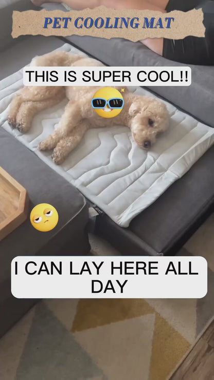 Cooling Mat for Pets